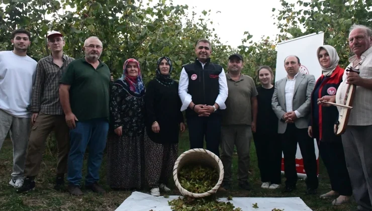 Düzce’de Fındık Hasat Şenliği Düzenlendi