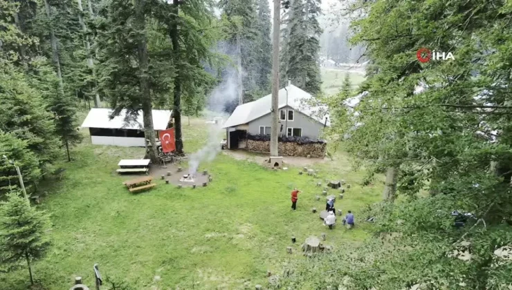 Pandemi Sonrası Huzuru Yaylada Buldu